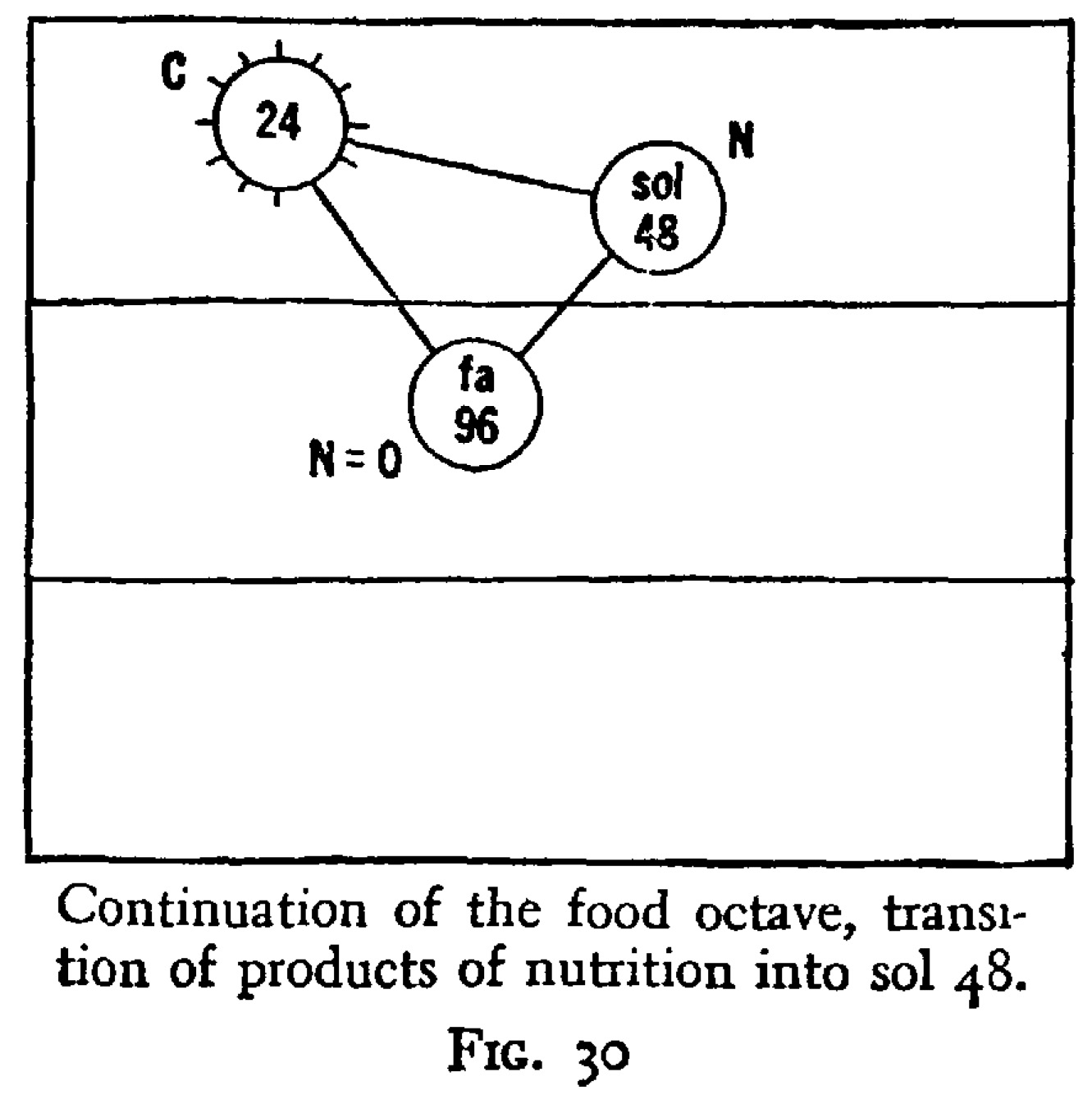 fig 30 from in search of the miraculous